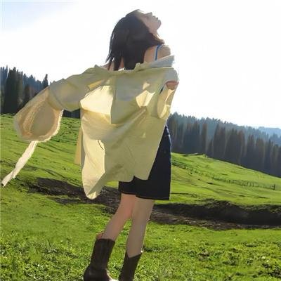 做一只鸟真不容易