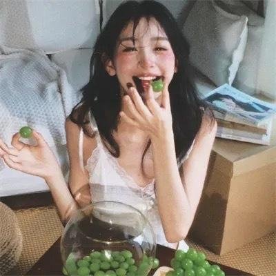 随风追寻